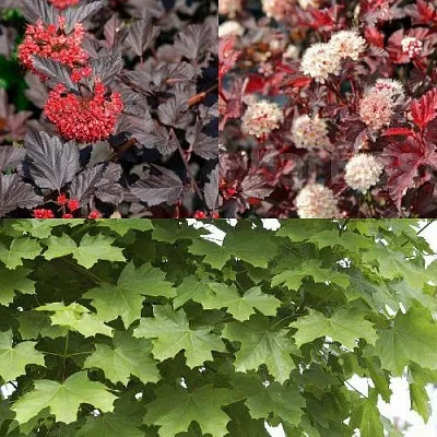 Комплект ОСЕННИЙ КОСТЕР в Томске