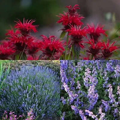 Комплект АРОМАТНЫЙ ЧАЙ в Томске