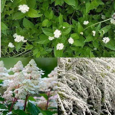 Комплект СКАНДИНАВСКИЙ СТИЛЬ в Томске