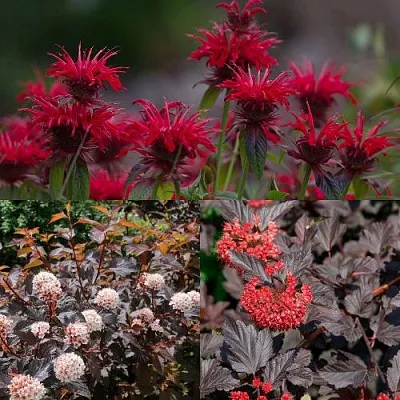 Комплект ОГНЕННЫЙ МИКС в Томске