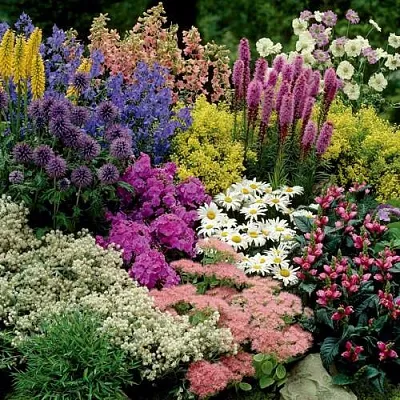 Травы в Томске