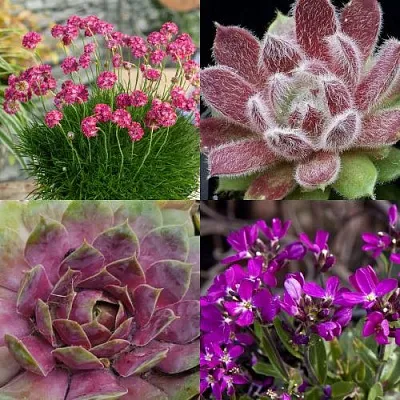 Комплект МИНИ САД в Томске