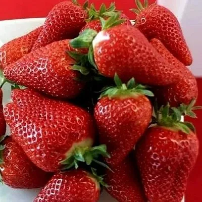 Клубника БРИЛЛА  Клубника БРИЛЛА в Томске