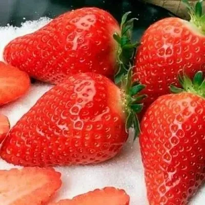 Клубника АЛЬБА  Клубника АЛЬБА в Томске