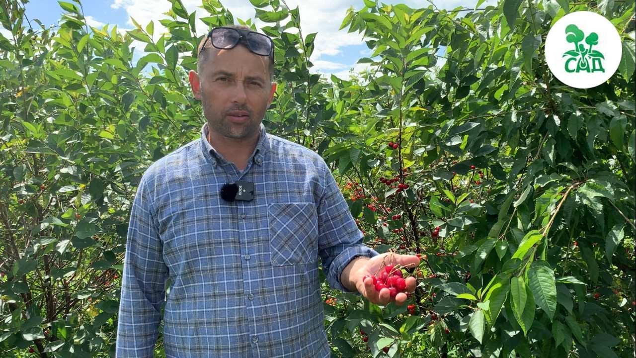 Превью видео